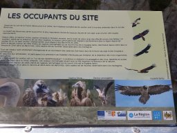 buis_les_baronnies34